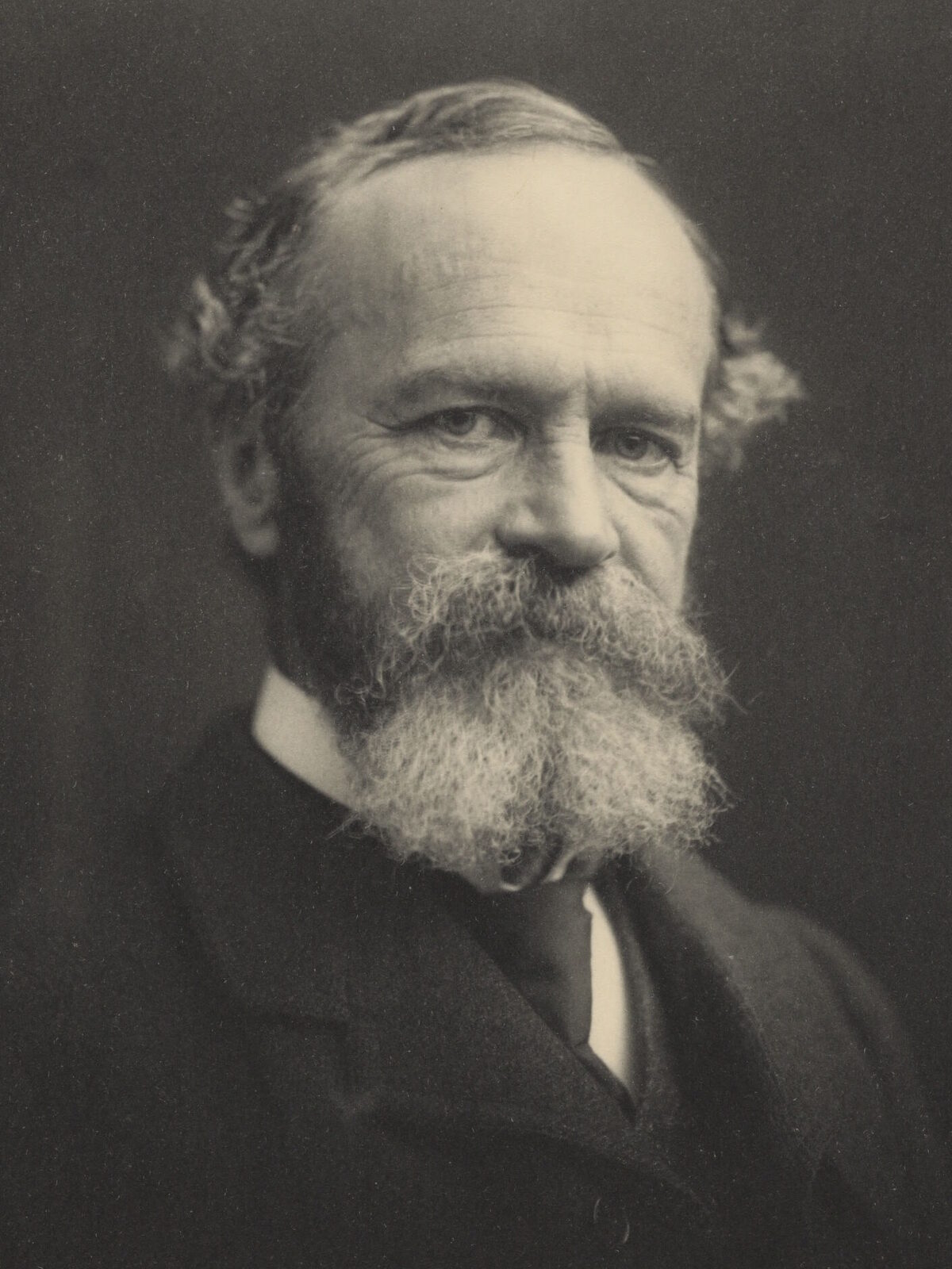 Historical portrait of William James